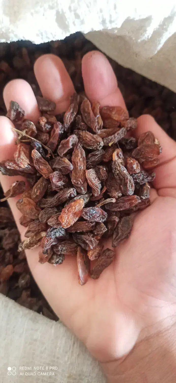 کشمش افتابی (کاشمر)|خوردنی و آشامیدنی|بردسکن, |دیوار