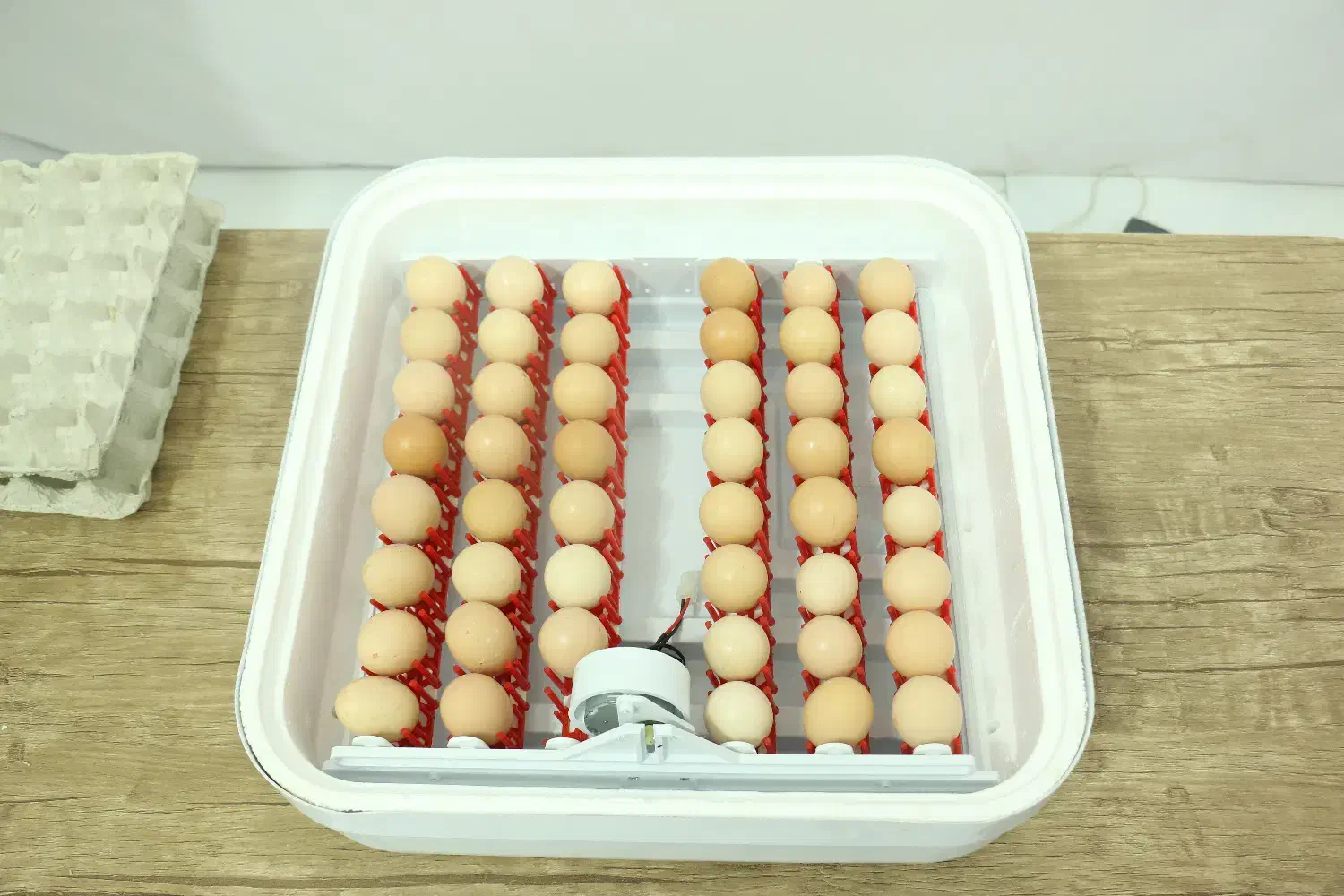 دستگاه جوجه کشی خانگی 48 تایی|لوازم جانبی حیوانات|تهران, جردن|دیوار