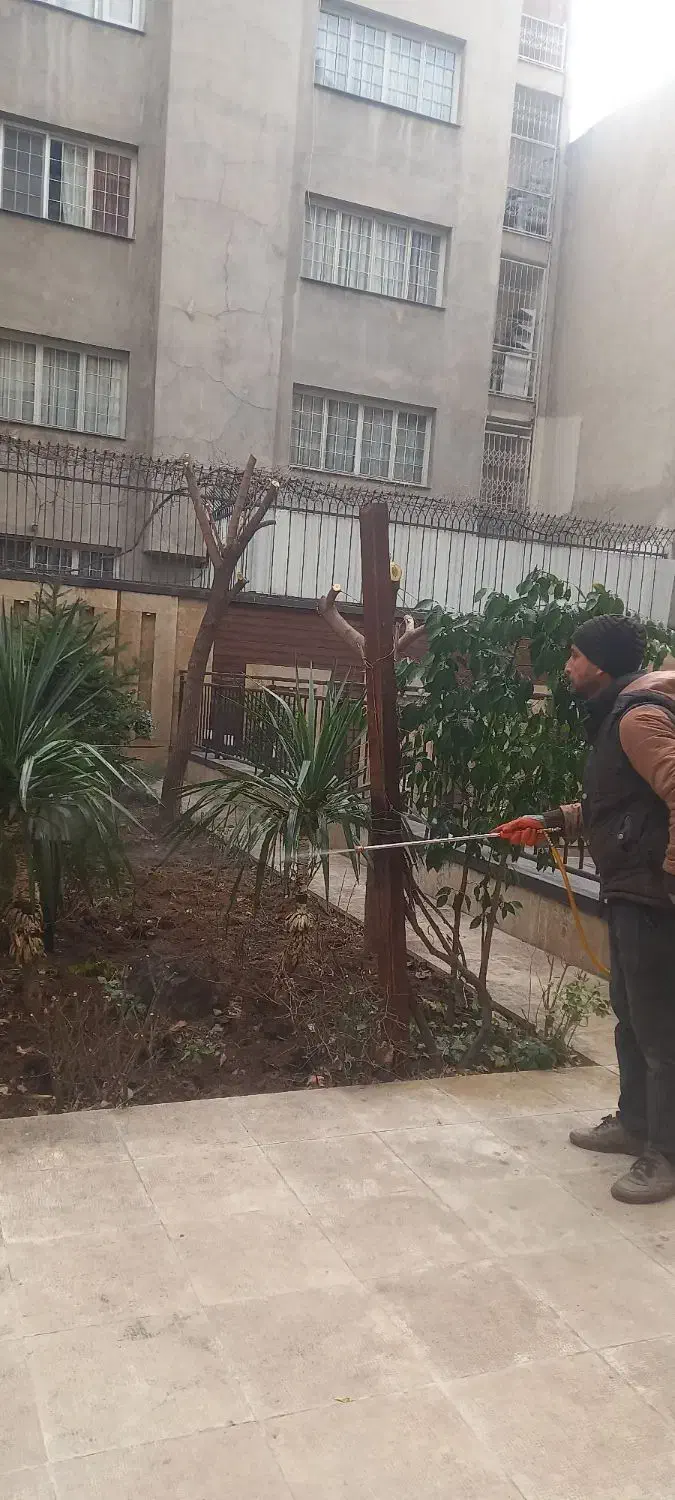 باغبانی ودرختکاری حرس کاری|خدمات باغبانی و درختکاری|تهران, اختیاریه|دیوار