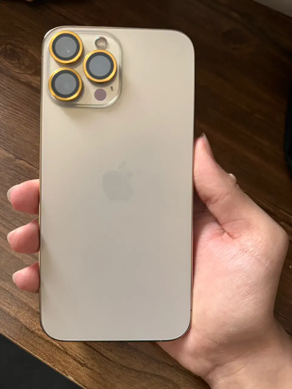 iPhone 13 pro max|موبایل|مشهد, موعود|دیوار