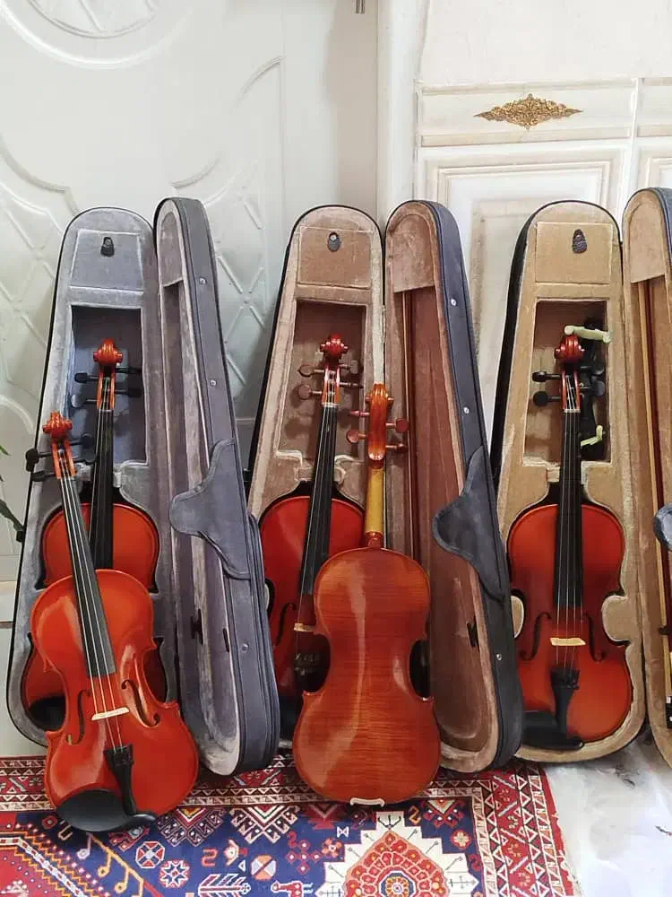 ویولون نو و درحدنو|ویولن|شیراز, مسلم|دیوار