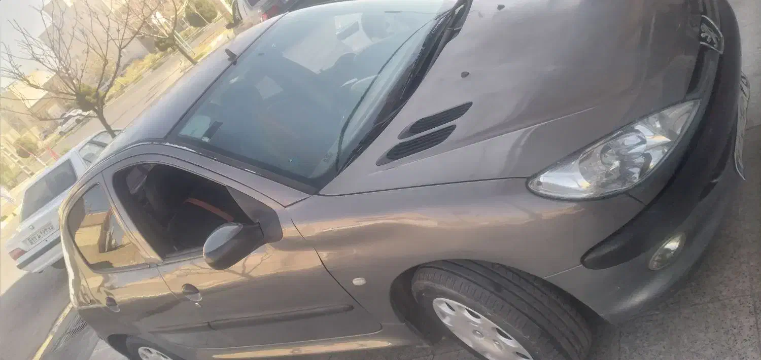 ۲۰۶تیپ ۵مدل ۹۴|خودرو سواری و وانت|رفسنجان, |دیوار