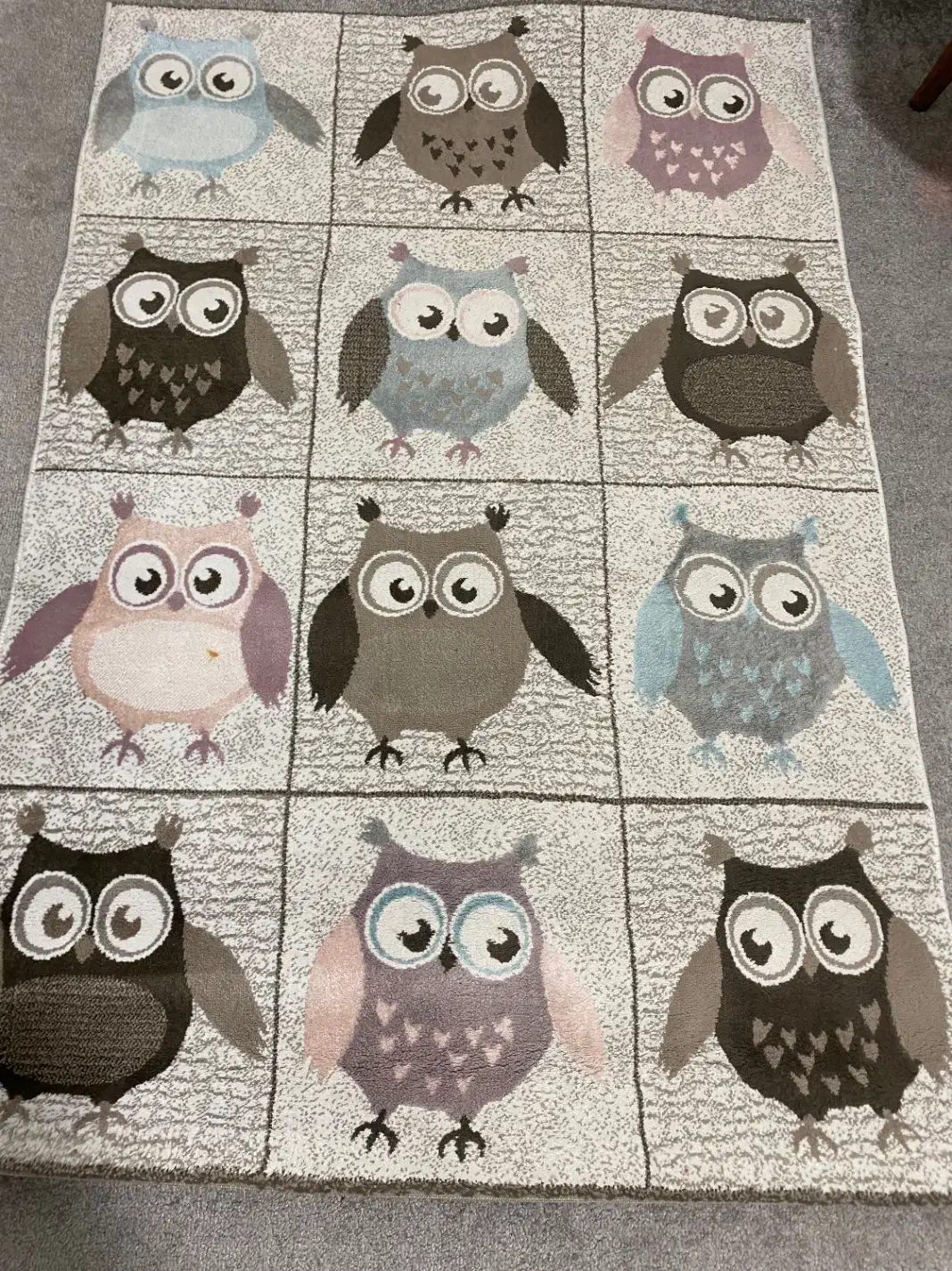 قالیچه|فرش|فردیس, شهرک شهید حسینی|دیوار