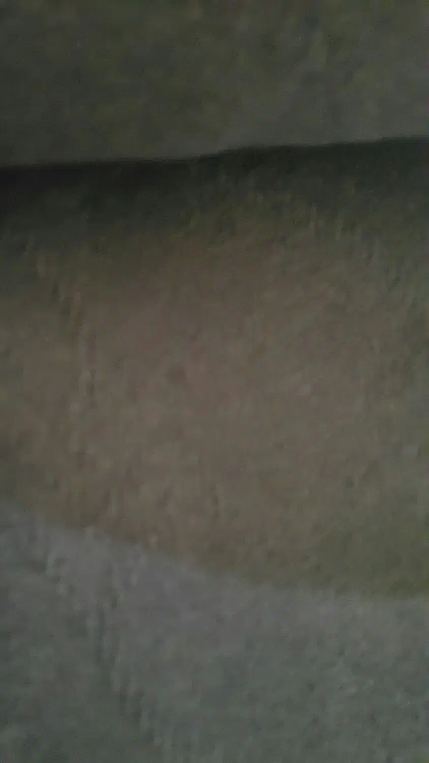 فروش موکت|موکت|شیراز, گلدشت معالیآباد|دیوار