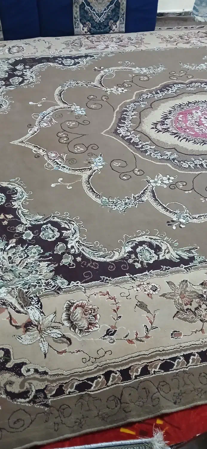 قالی تمیز|فرش|خرمشهر, |دیوار