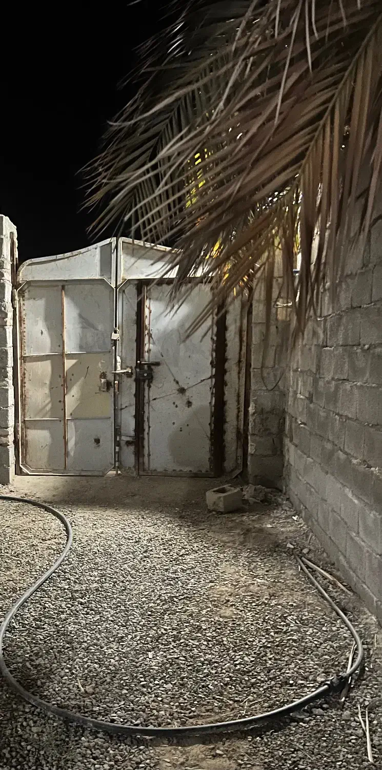 سه دهنه گلخانه|فروش دفتر صنعتی، کشاورزی، تجاری|سراوان, |دیوار