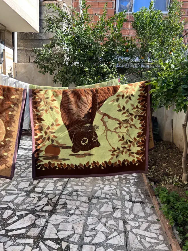 پتو پلنگی|رختخواب، بالش، پتو|ساری, |دیوار