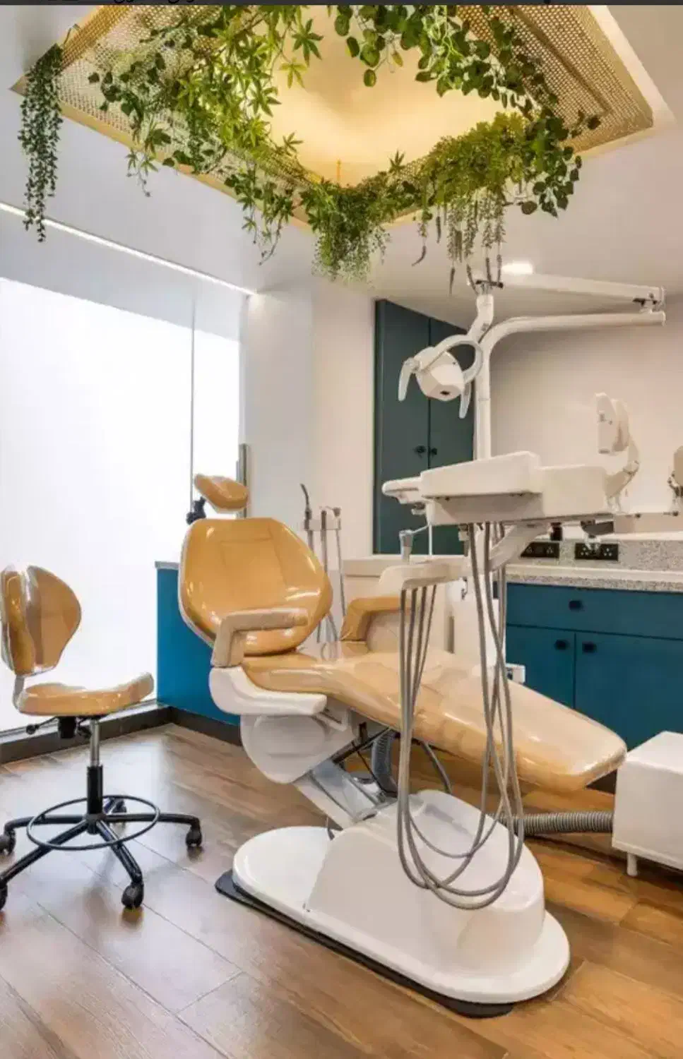 استخدام دستیار دندانپزشک|استخدام درمانی، زیبایی، بهداشتی|مشهد, بهشت|دیوار