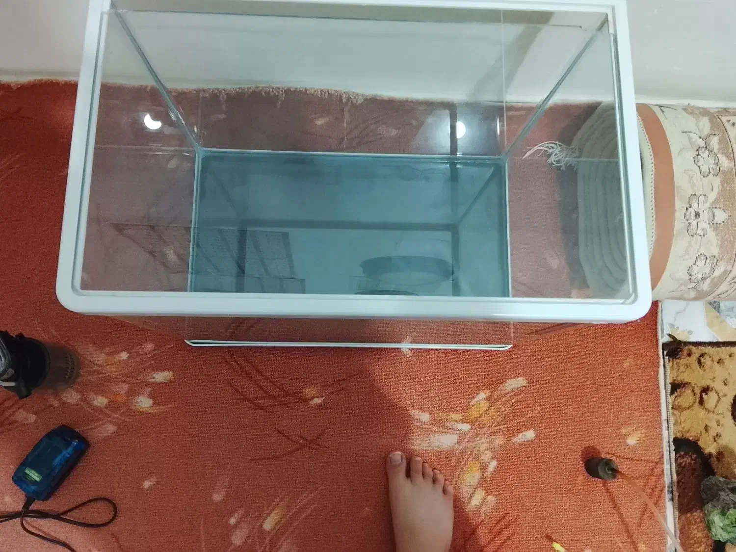 اکواریوم|ماهی|ایوان, |دیوار