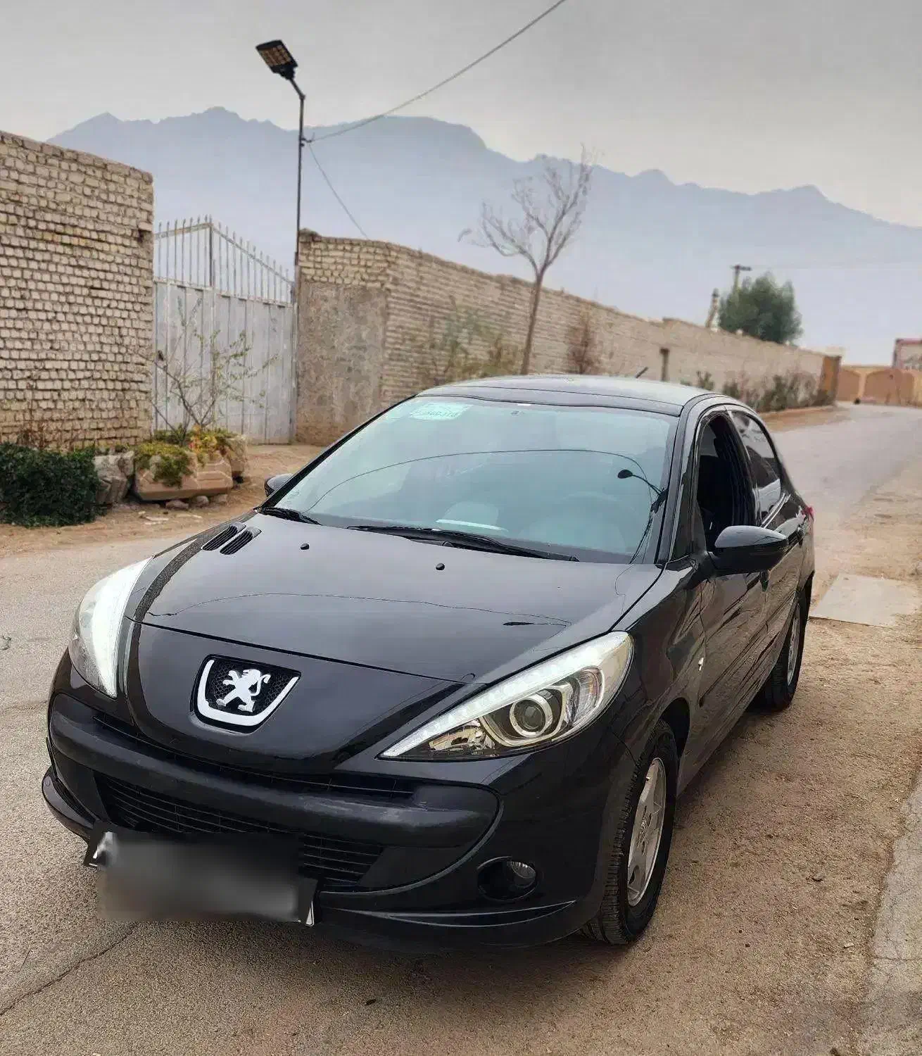 ۲۰۷ پانا ۱۴۰۲|خودرو سواری و وانت|اصفهان, باغ کاران|دیوار