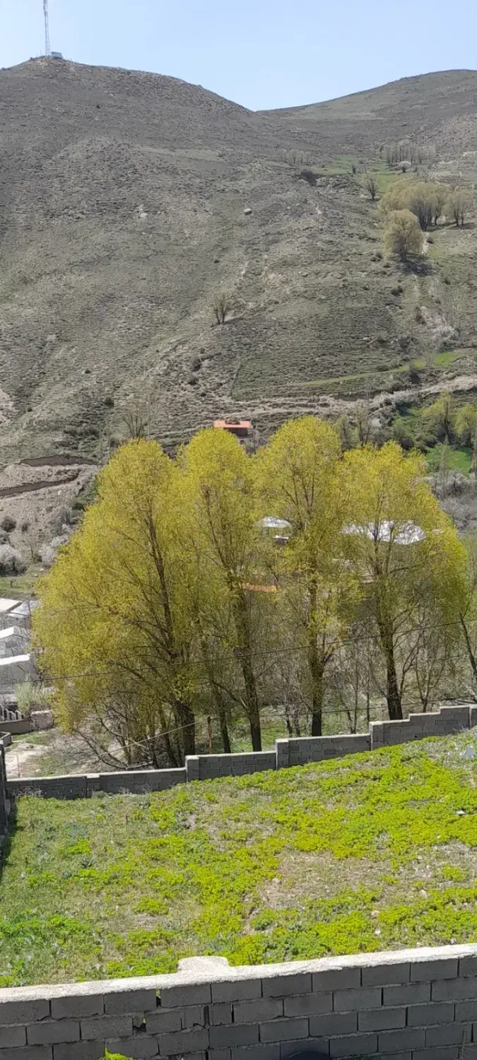 فروش ۴۰۰ متر زمین در ابگرم|فروش زمین و ملک کلنگی|رینه, |دیوار