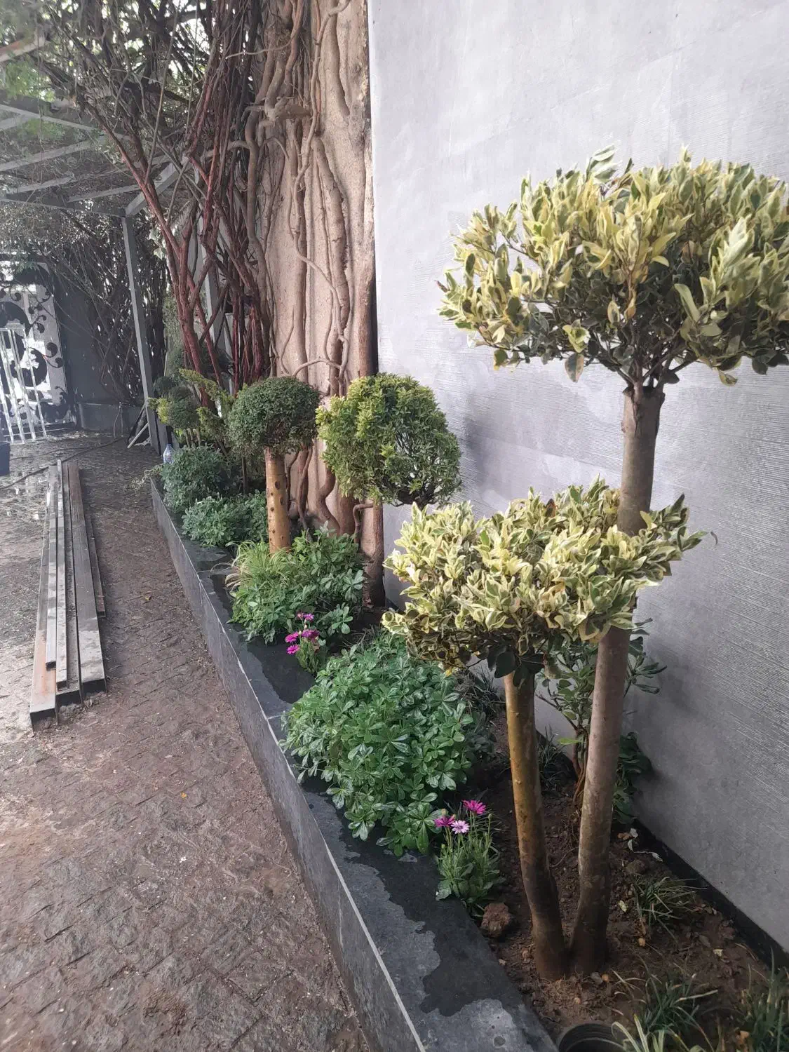 طراحی ، اجرا و نگهداری فضای سبز ،دهکده|خدمات باغبانی و درختکاری|چهاردانگه (تهران), |دیوار