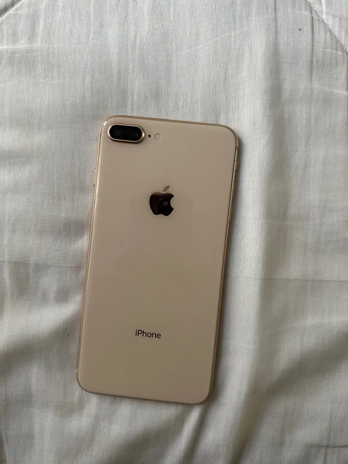 Apple گلد 256|موبایل|ساری, |دیوار