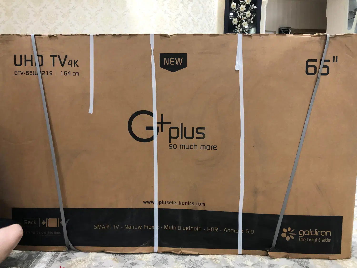 تلویزیون ۶۵ جی پلاس|تلویزیون و پروژکتور|لنگرود, |دیوار