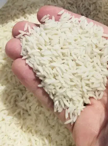 برنج دم سیاه درجه یک|خوردنی و آشامیدنی|ویسیان, |دیوار