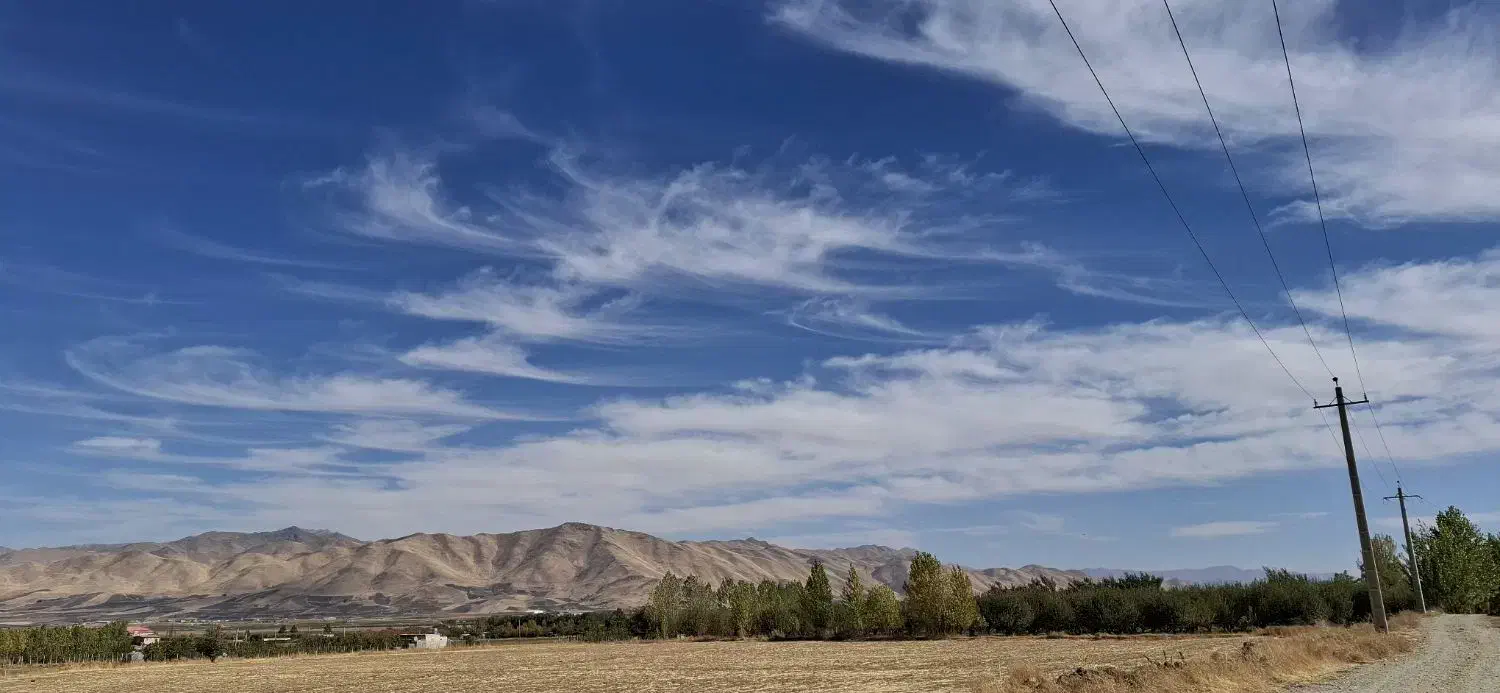 اجاره زمین کشاورزی|اجارهٔ دفتر صنعتی، کشاورزی، تجاری|پیرانشهر, |دیوار