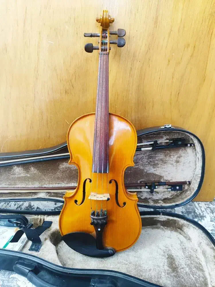 ویولن دستساز|ویولن|آباده, |دیوار