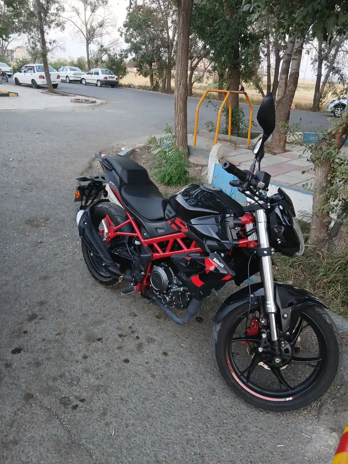 بنلی ۲۵۰تک|موتورسیکلت|قروه, |دیوار