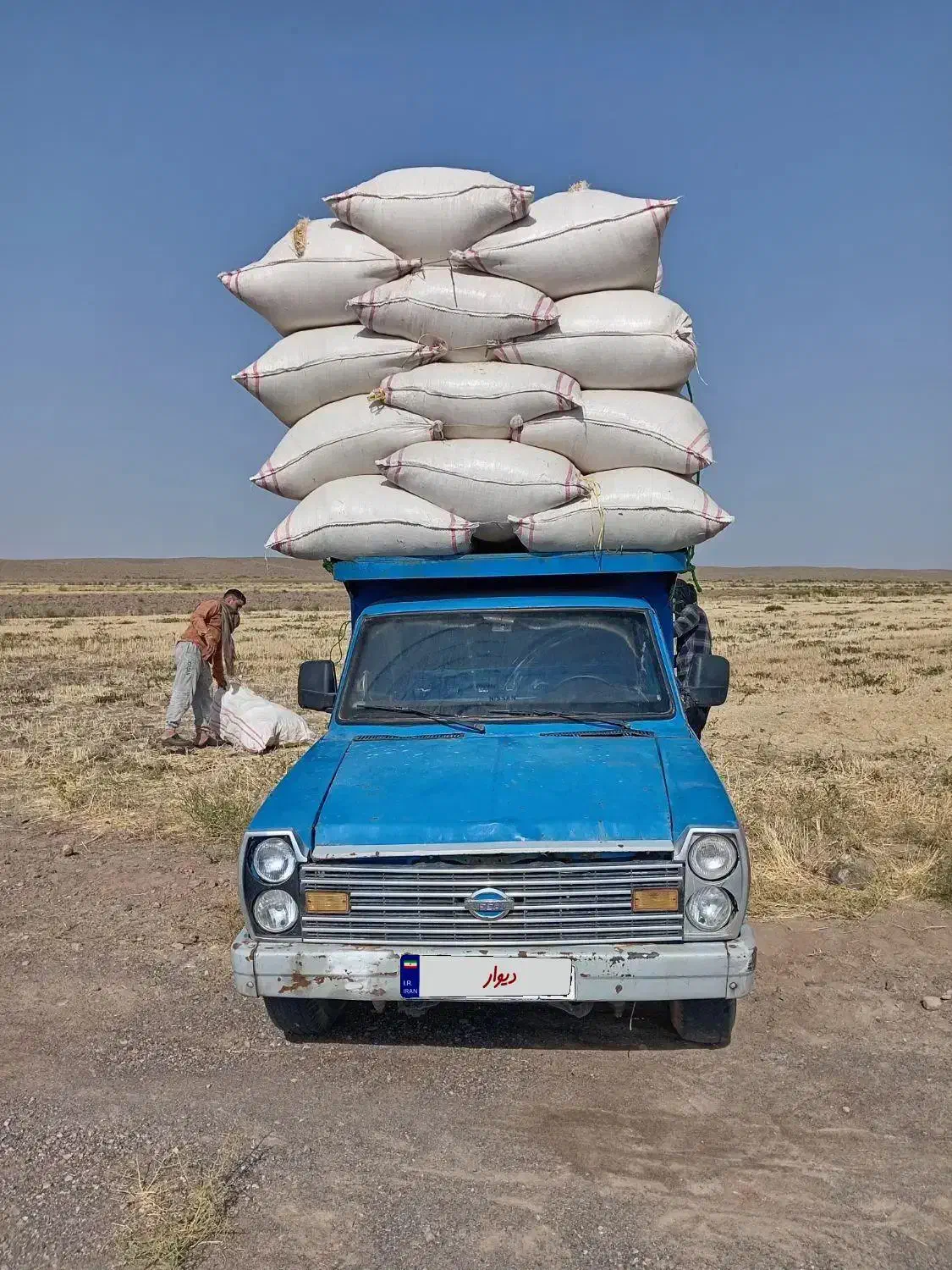 فروش فوری نیسان وانت مدل دوگانه cng|خودرو سواری و وانت|تربتحیدریه, رباط سفلی|دیوار