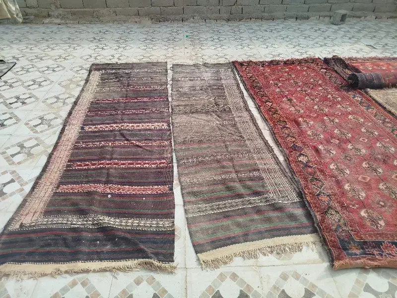 قالیچه|فرش|زهک, |دیوار