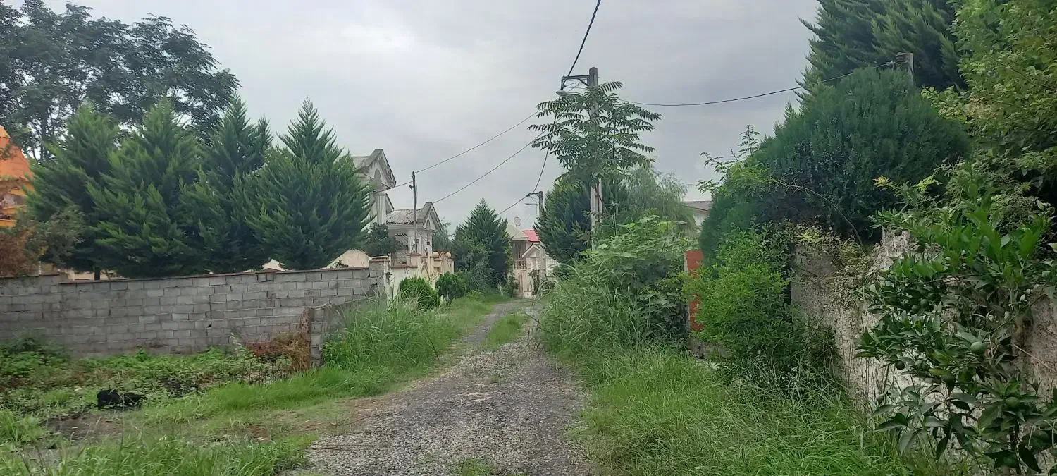 زمین داخل شهرک ،زیرقیمت منطقه|فروش زمین و ملک کلنگی|امامزاده عبدالله, |دیوار