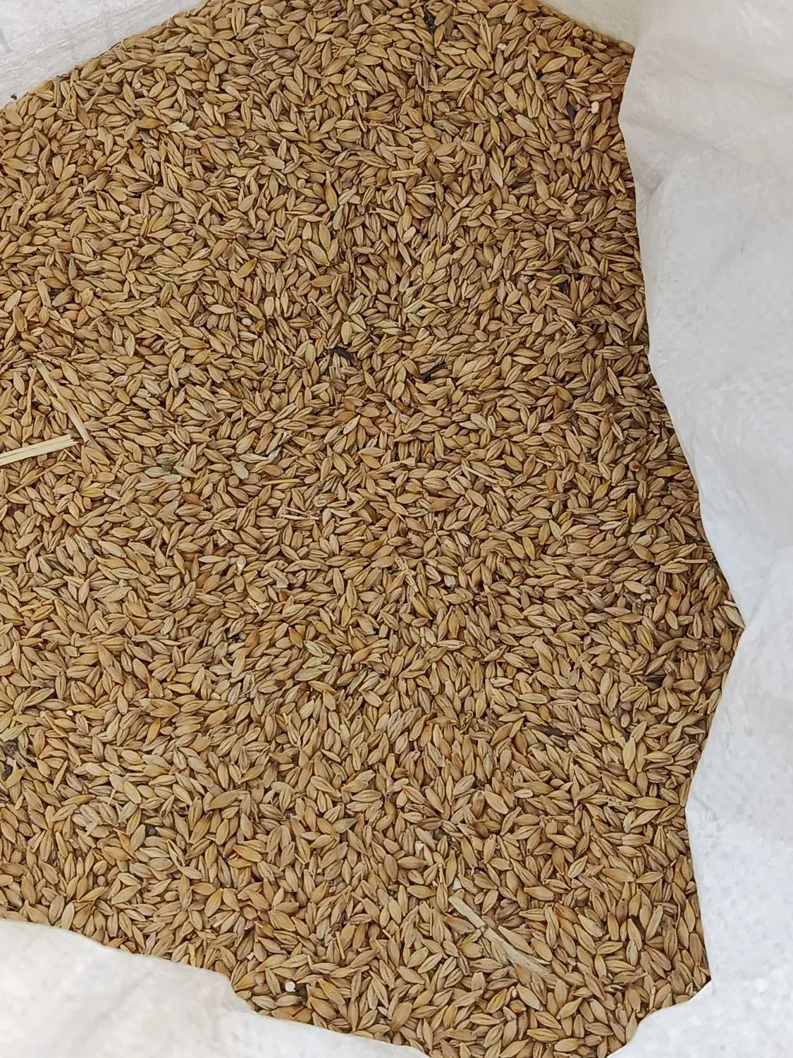 جو خارجی|عمده‌فروشی|پاسارگاد, |دیوار