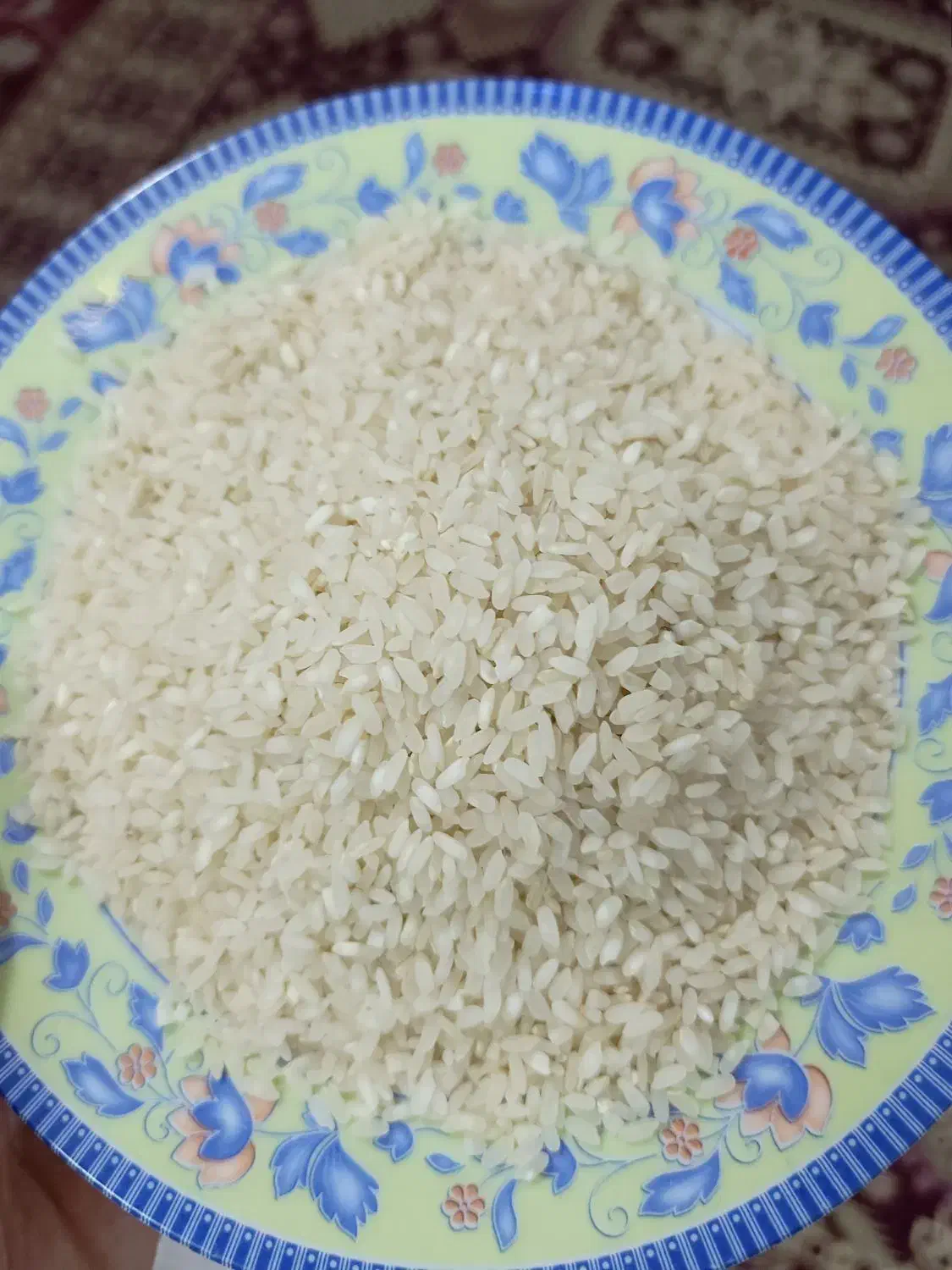 برنج کامفیروزی|خوردنی و آشامیدنی|شیراز, کوشک میدان|دیوار