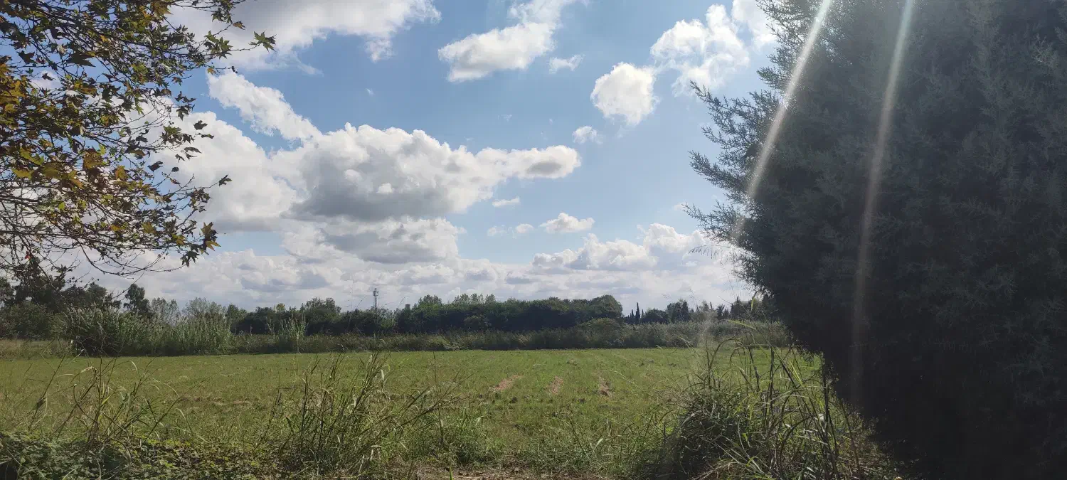 مدلینگ|فعالیت داوطلبانه|تهران, بوستان ولایت|دیوار