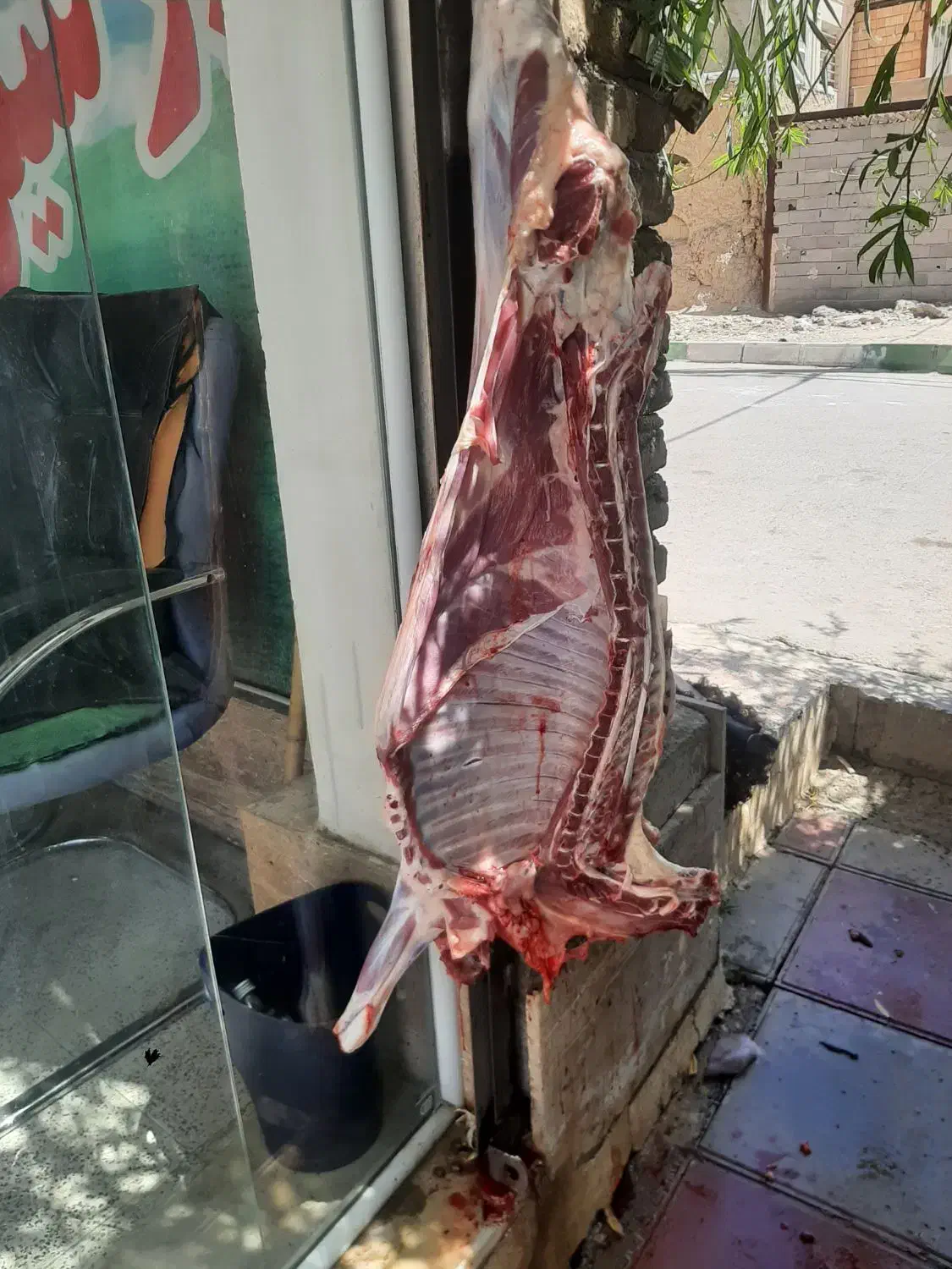 قصاب و سلاخ ذبح گوساله و گوسفند|خدمات پذیرایی، مراسم|اسلامشهر, شهرک مهدیه|دیوار