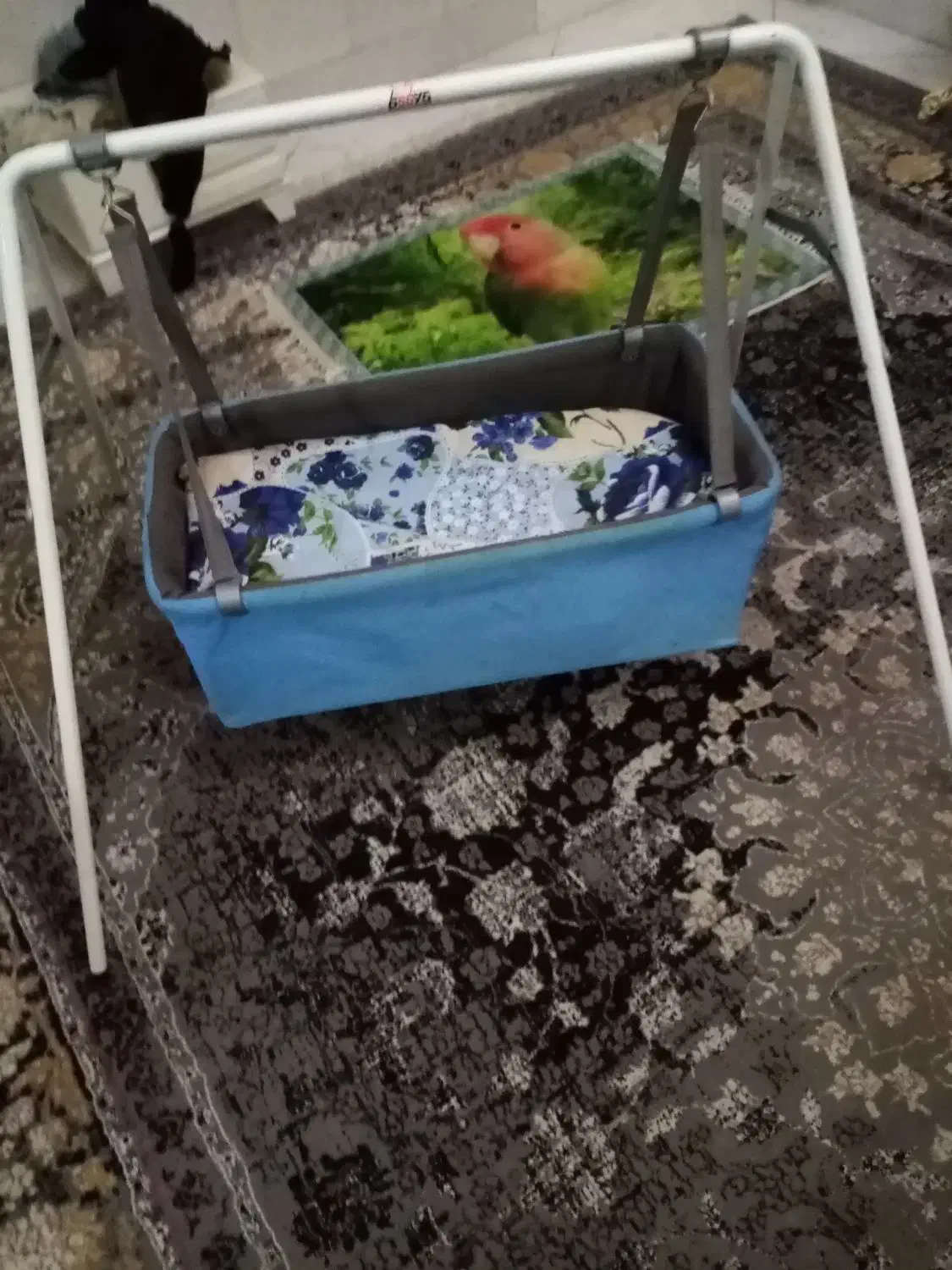 گهواره بچه سالم|اسباب و اثاث بچه|اراک, |دیوار