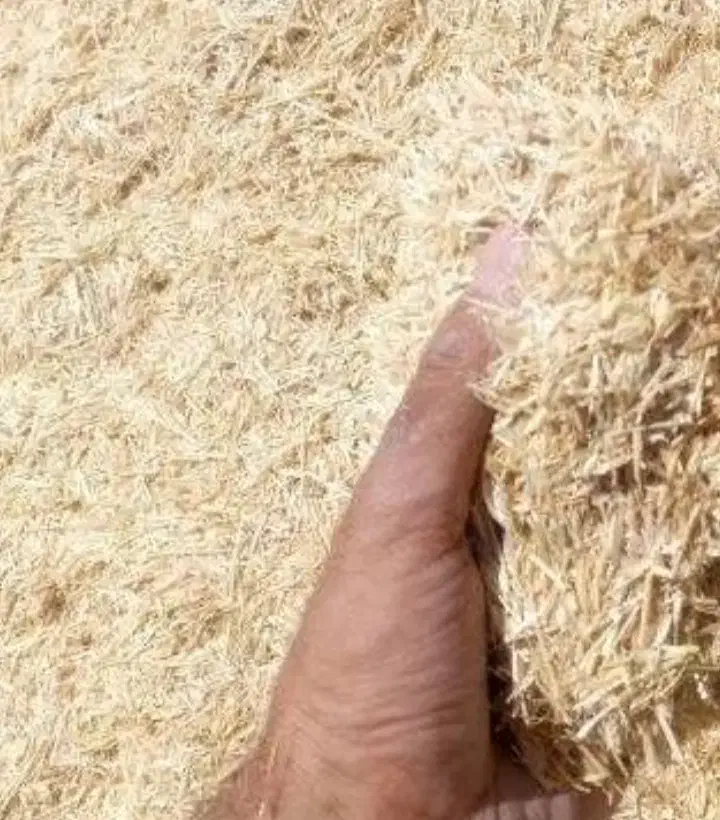 کاه|لوازم جانبی حیوانات|هشتگرد, تهران دشت|دیوار