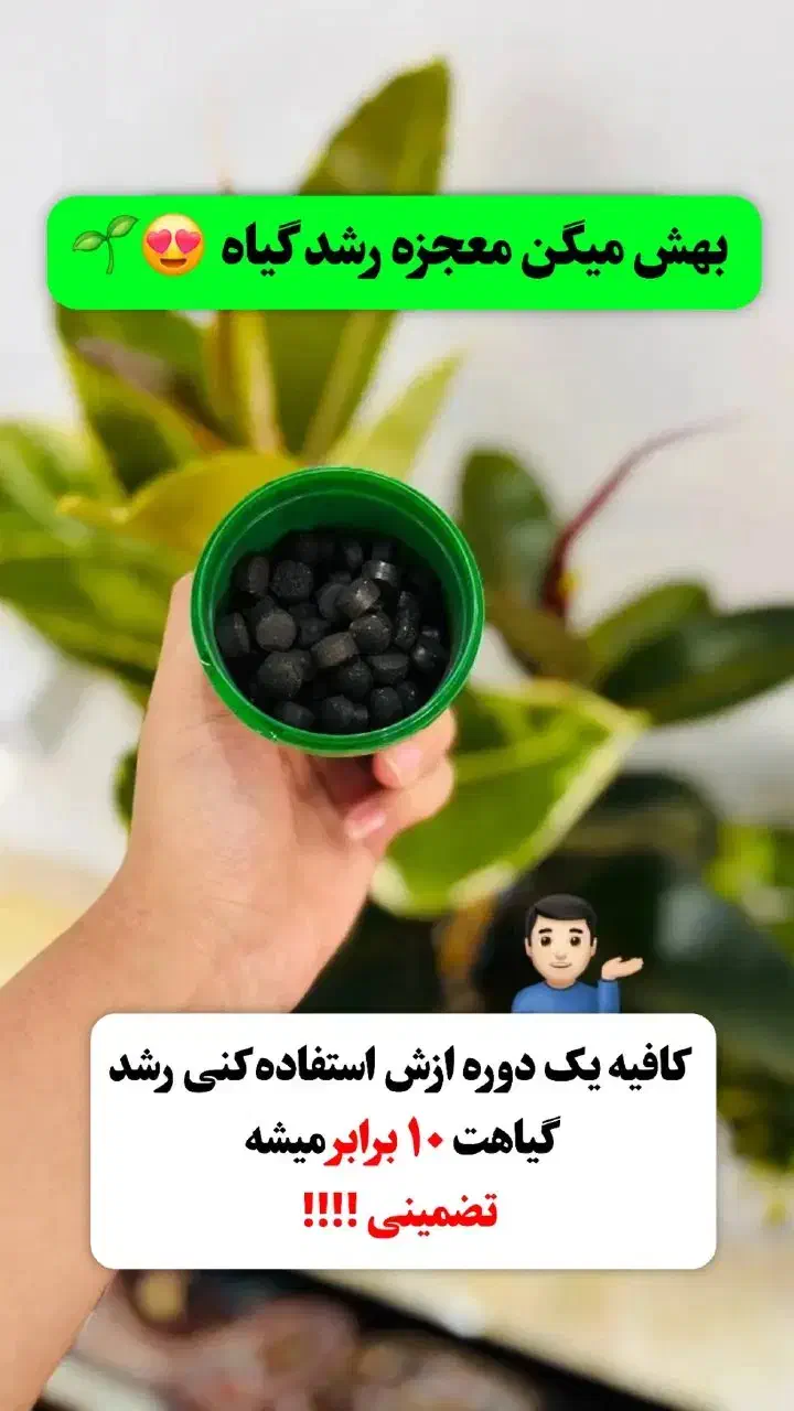 کود همه کاره رشد گیاه|گل و گیاه طبیعی|اهواز, نادری|دیوار
