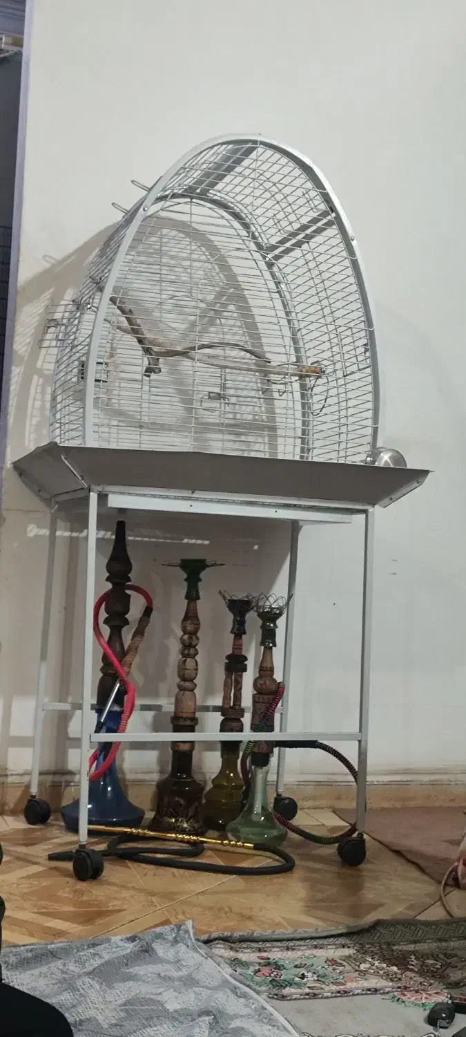 قفس بزرگ خارجی|لوازم جانبی حیوانات|سیرجان, |دیوار