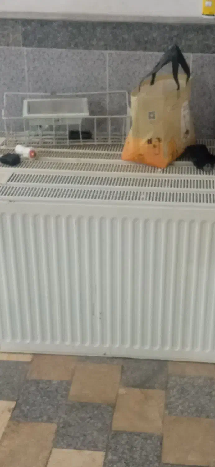 رادیاتور سنگین وزن و سالم|آبگرمکن، پکیج، شوفاژ|مرند, |دیوار