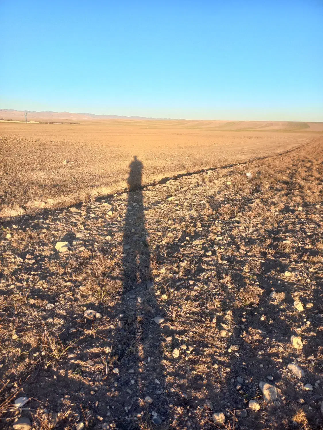 زمین زراعی مناسب دامداری و انباری|فروش دفتر صنعتی، کشاورزی، تجاری|ارشق, |دیوار