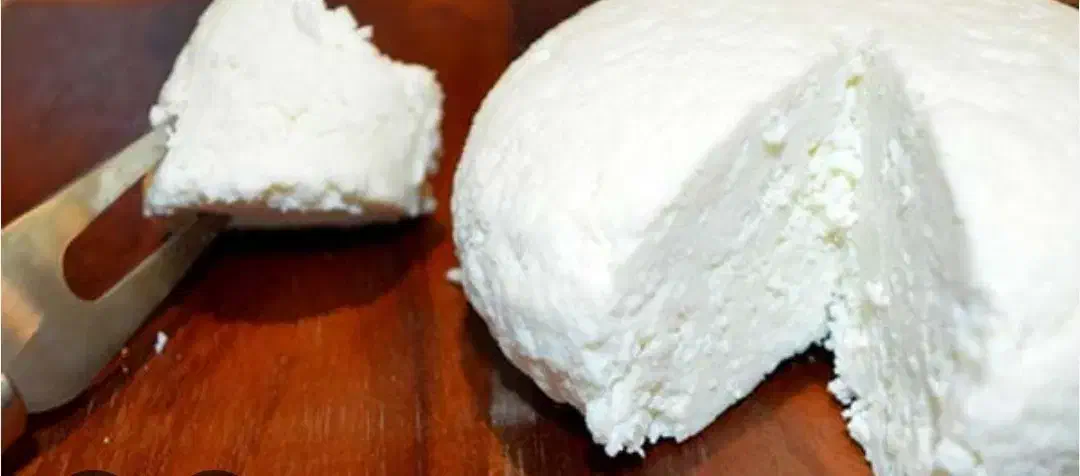 پنیر ارگانیک خانگی|خوردنی و آشامیدنی|قم, باجک یک|دیوار