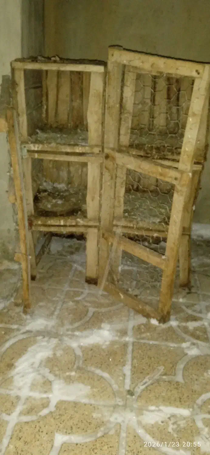 لانه|لوازم جانبی حیوانات|پلدشت, |دیوار