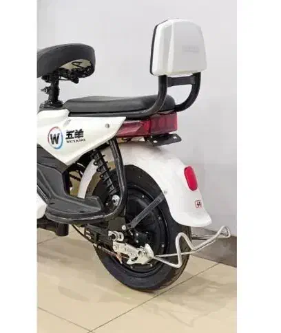 موتور برقی پاکشتی دونفره مارک E.BIKE قسطی بخر|دوچرخه، اسکیت، اسکوتر|اصفهان, بوستان ناژوان|دیوار