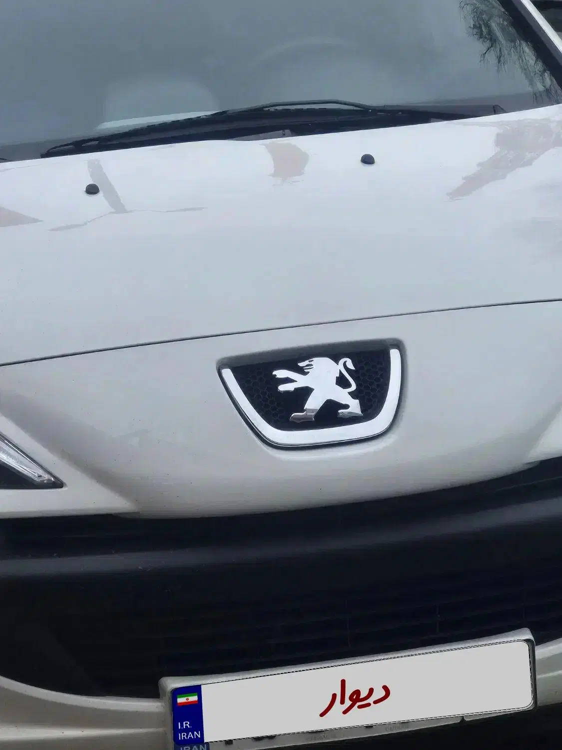 207 پانا سقف شیشه معاوضه با ماشین در حد 500 ت|خودرو سواری و وانت|رزن, |دیوار