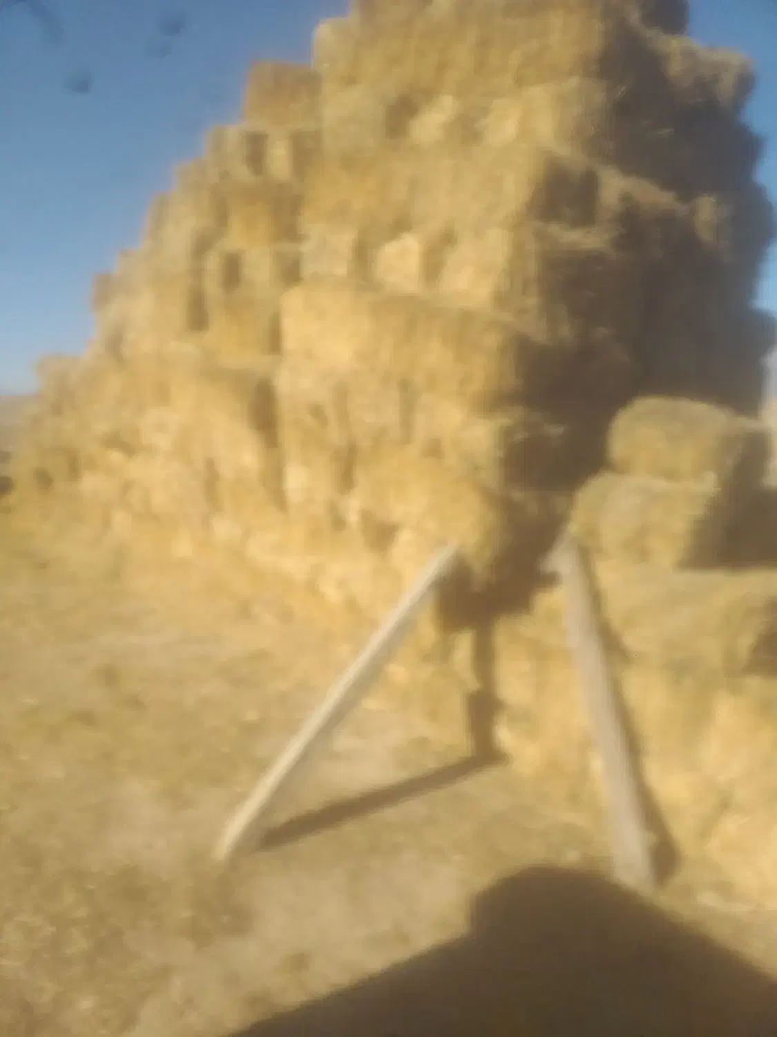 کاه گندم|حیوانات مزرعه|اردبیل, |دیوار