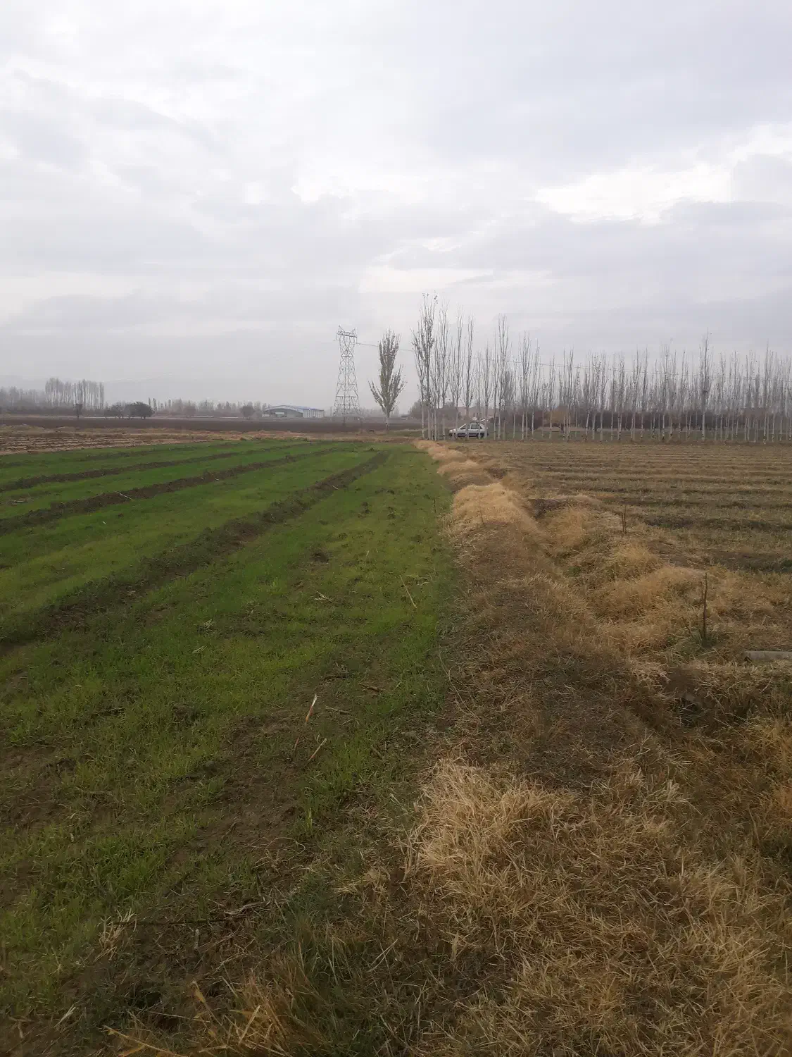 فروش زمین|فروش دفتر صنعتی، کشاورزی، تجاری|سلماس, |دیوار