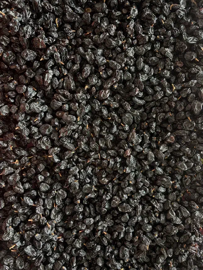 کشمش ترکمن|خوردنی و آشامیدنی|تاکستان, |دیوار