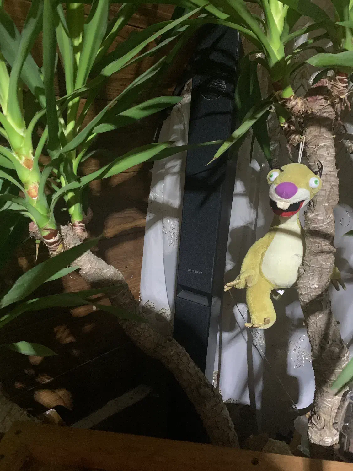 سینما خانواده سامسونگ|سیستم صوتی خانگی|چالوس, |دیوار