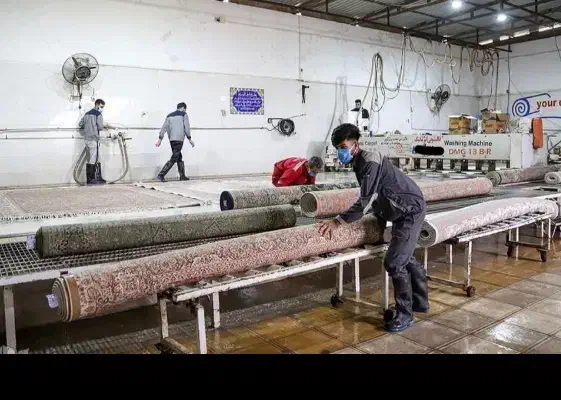 قالیشویی ورفوگریی دماوند|خدمات نظافت|دماوند, گیلاوند|دیوار