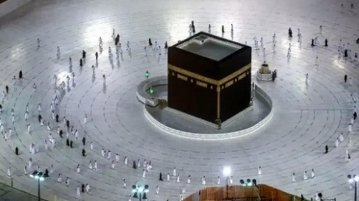 فروش فیش حج تمتع|تور و چارتر|شهرضا, |دیوار