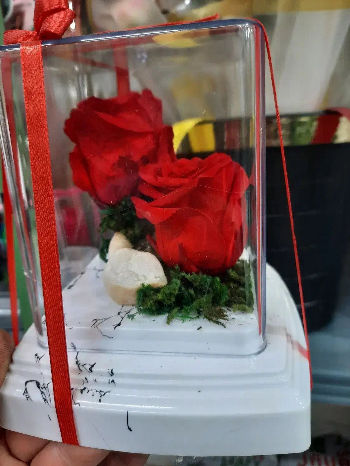 گل رز جاودان|گل و گیاه طبیعی|الوند, |دیوار