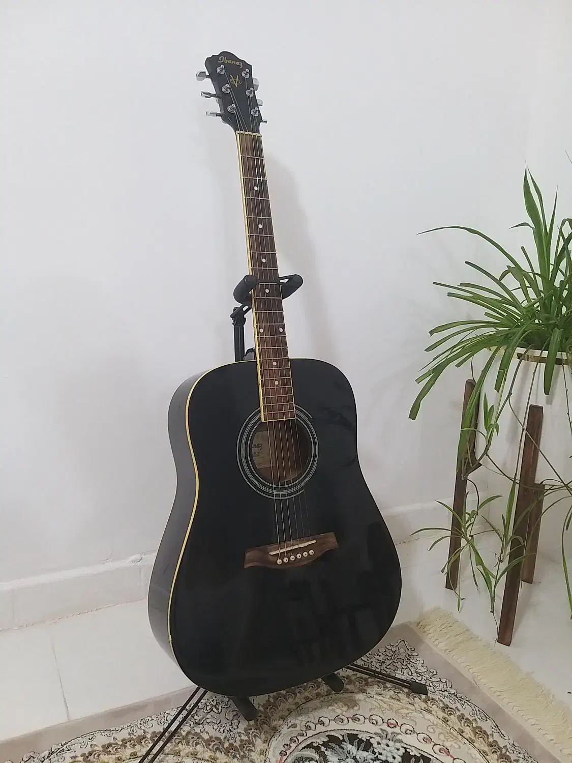 گیتار آگوستیک آیبانز|گیتار، بیس، امپلیفایر|همدان, |دیوار