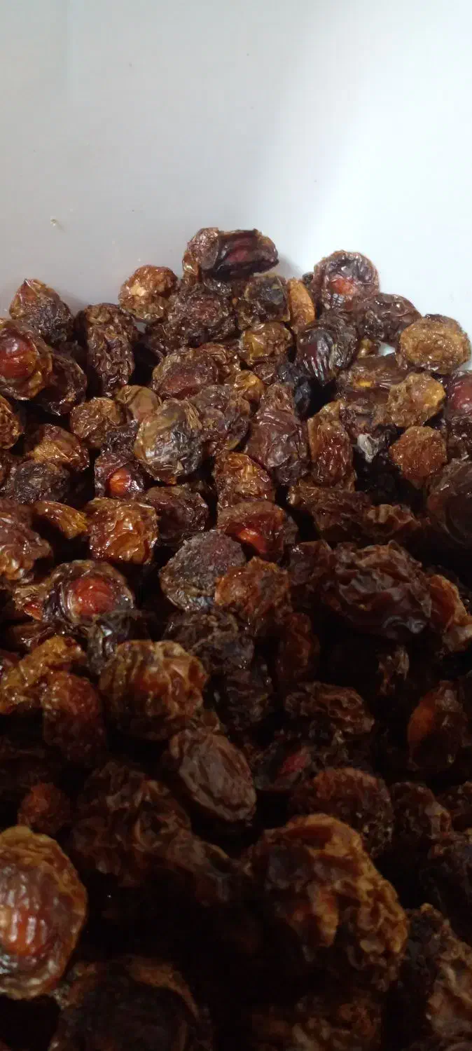 الوچه درشت وخوشمزه|خوردنی و آشامیدنی|فرخشهر, |دیوار