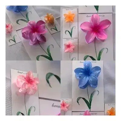 GIFT|صنایع دستی و سایر لوازم تزئینی|رفسنجان, |دیوار