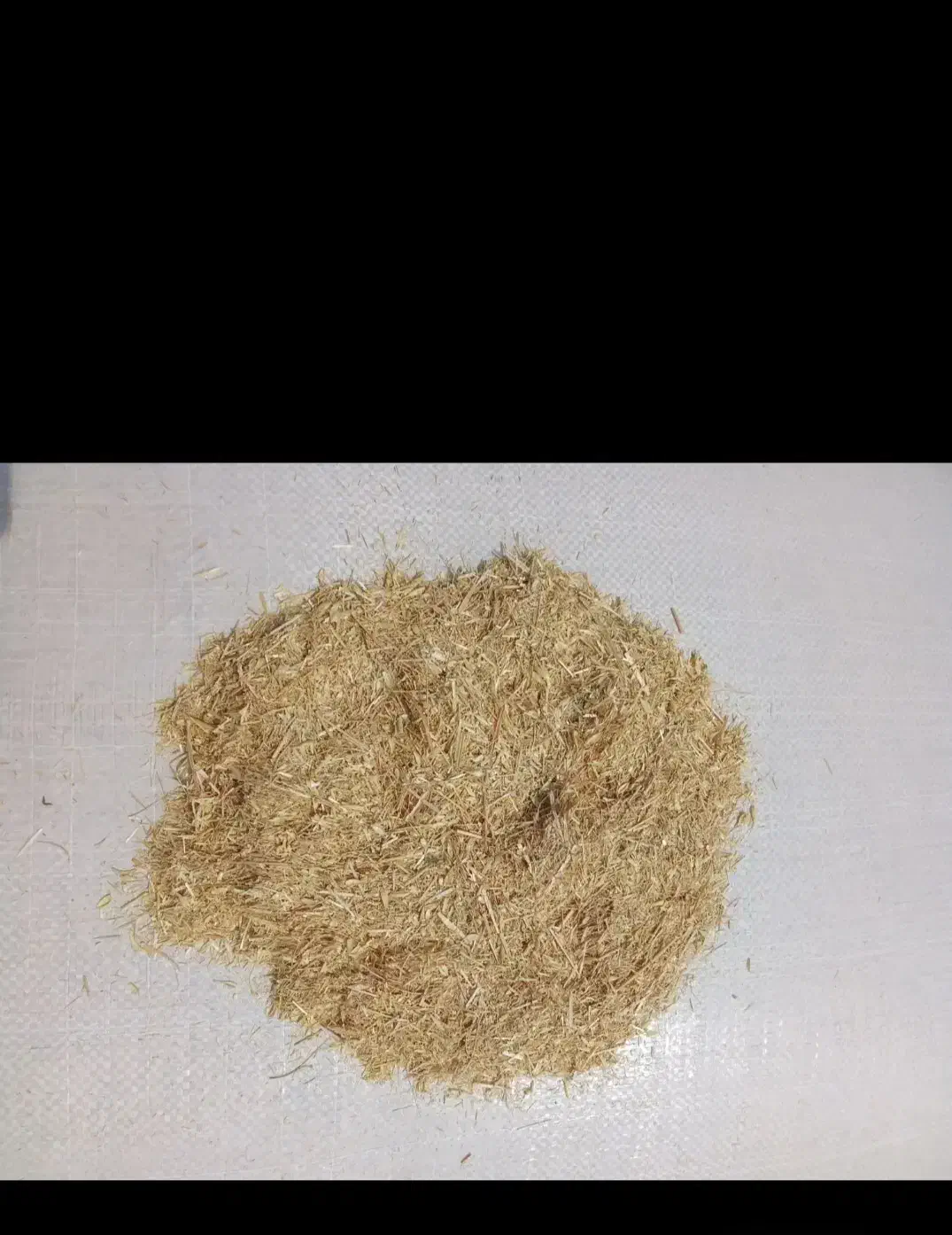 کاه گندم لوکس سر خوشه دیم گونی شده درجه یک همدان|حیوانات مزرعه|رباط‌کریم, رباط‌کریم|دیوار